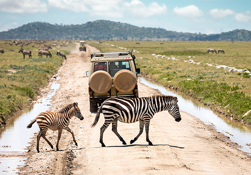 12-kenya-and-tanzania-safari-package