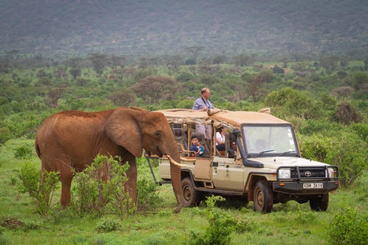 3 DAYS MASAI MARA NATIONAL RESERVE GROUP JOINING SAFARI